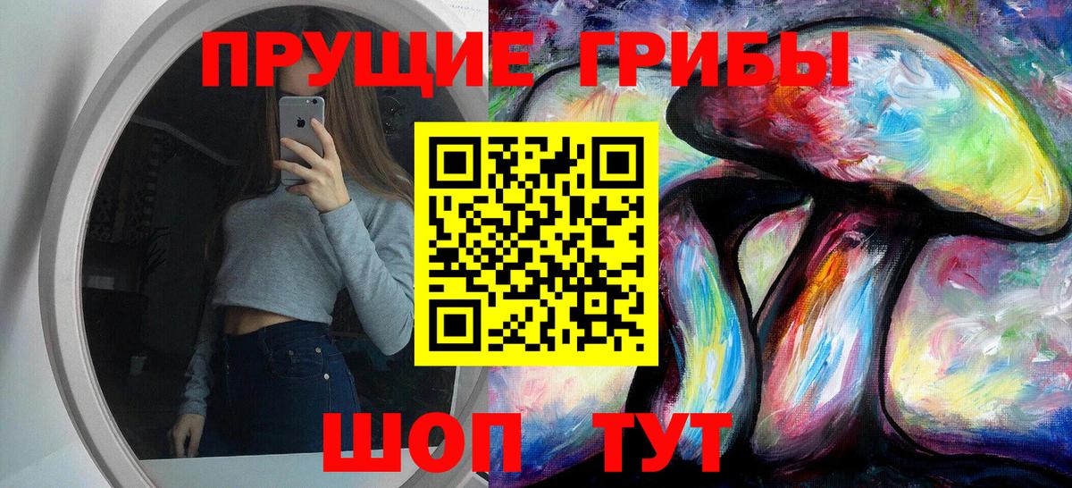 Галлюциногенные грибы Cubensis Кропоткин
